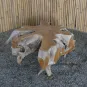 morepic-6